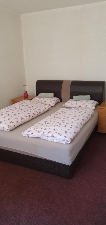 Hostel T&M Zeniça Dış mekan fotoğraf